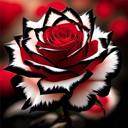 Generisch Diamond Painting Erwachsene,5D Diamant Painting Rote Rose,Diamants Painting Erwachsene Blume Für Home Wand Decor,Frauen Geschenk (rose)
