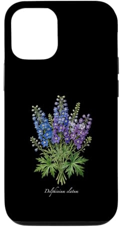 Custodia per iPhone 12/12 Pro Delphinium pianta illustrazione Delphinium elatum