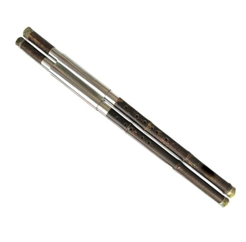 Bambusflöte Professionelle Professionelle Doppelrohr-Bambus-Bawu-Flöte F + B Flachton Oder C + G-Taste Querflöte Mit Koffer(C+G)
