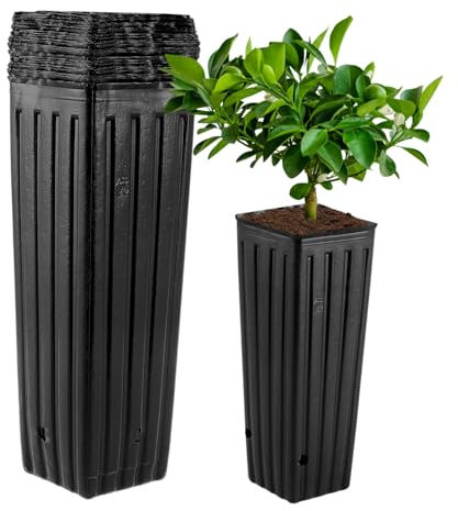 BESPORTBLE Lot de 50 Pots de Fleurs en Plastique Profonds, de 30,5 cm, Noirs, avec Trous de Drainage, pour Le Jardinage, 3 x 11 cm (l x H)