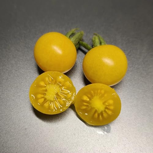 semillas de tomate grosella, invierno verdes resistentes para el jardín balcón invernadero variedades antiguas regalos para los amantes 200pcs