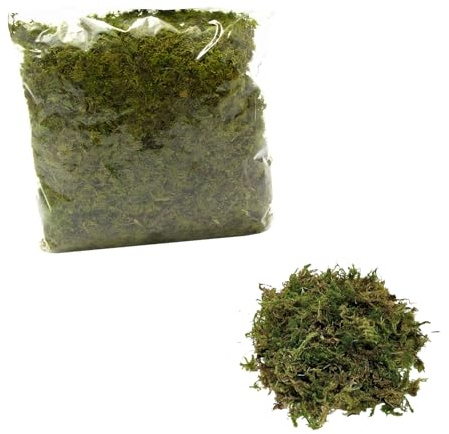 Moranduzzo – Sachet de Mousse Naturelle 120g – Artisanat Made in Italy – Accessoires et Matériaux pour Réaliser une Crèche Traditionnelle