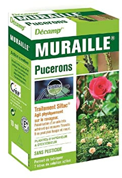 Décamp' - Siltac Blattläuse Mauer
