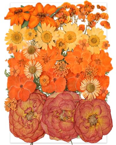 YoothBro Flores prensadas secas de color naranja para moldes de resina, flores prensadas naturales reales para manualidades, fabricación de velas, decoración de uñas, fabricación de jabón, fundas para
