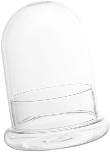 MAGICLULU Cloche en Verre Transparent pour Terrarium de Bureau, Support Décoratif pour Plantes Succulentes, Accessoire Jardinage Intérieur Robuste