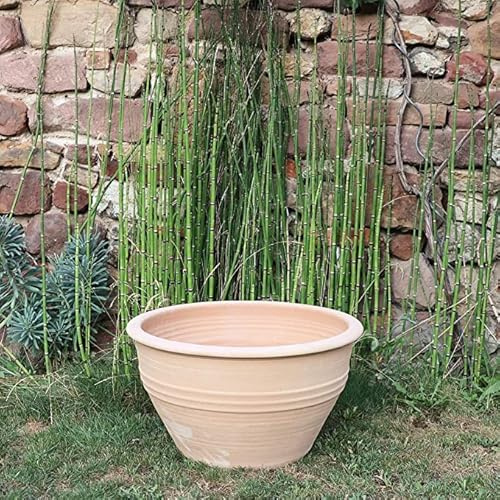 Palatina Werkstatt Terracotta Blumentopf Veronica 55cm - 100% Handgefertigter Terracotta Pflanzkübel für den Garten & Innenbereich - Robust & Stilvoll zu jeder Jahreszeit