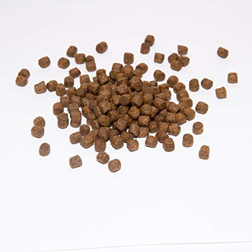 Koi Koifutter * Top Energy Plus * 15Liter Wachstumsfutter Fischfutter 8mm