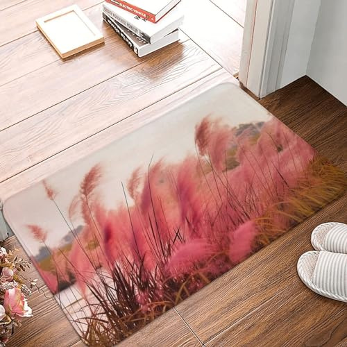 Door Mat Durable Front Door Mats Pink Landscape Reed Print Welcome Doormat Absorbent Non-Slip Entrance Mat Soft Flannel Rugs Washable Carpet for Christmas Decor Indoor Outdoor 16''x 24''