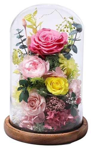 lovenfold Flowers for Delivery Preserved Flowers Rose in Glass Dome,Pink Rose Forever Flowers Birthday Gifts for Women Mom Grandma Friend for Her,Home Decor