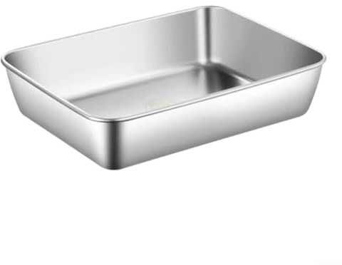 Filteilect Bandejas de almacenamiento de alimentos de acero inoxidable con cubierta de plástico, bandeja de cocina inoxidable para pescado, verduras, pollo, apto para lavavajillas, 25,8 x 20 x 5 cm (A