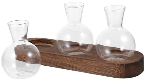 IWOWHERO Elegant Green Pothos Plant Container Glass Vase with Simple Design for Home Office Decor