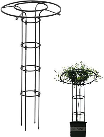 Treillis de jardin vertical en métal antirouille de 150 cm pour plantes grimpantes, vignes, légumes, fleurs, treillis durable, tour de grille pour lierre, roses, concombres, clématites, pots
