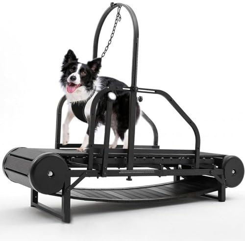GHRERTX Dog Treadmill for Large & Medium Dogs,Adjustable Ramp Canine Running Slatmill Machine with Pedometer for Exercise & Healthy & Fit Pet Life,Dog Slatmill for up to 200 lbs