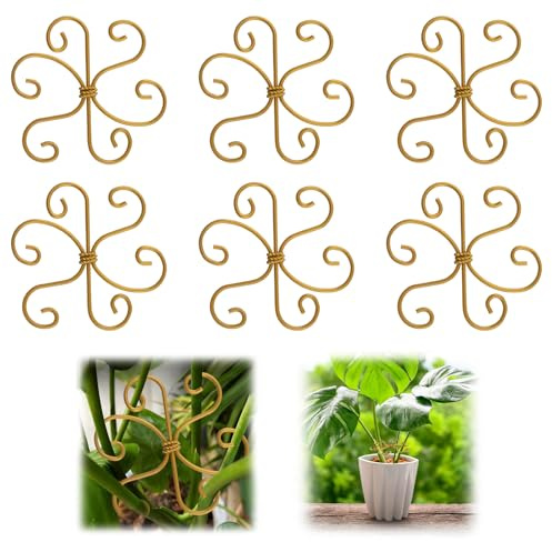 MOROBOR Monstera Système de support pour plantes, 6 pinces à feuilles de qualité, stabilisateur unique pour feuilles et coquillages de tortue, cadeau idéal pour les amateurs de plantes