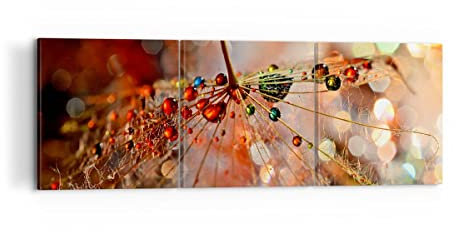 Mehrteilige Bilder auf Leinwand 120x40cm Leinwandbild Spinnennetz modern Groß Wanddeko Bild Schlafzimmer Set 3 teilige Wandbilder Dekoration Wohnzimmer Decor Canvas Wand Kunstdruck Art CA120x40-3774