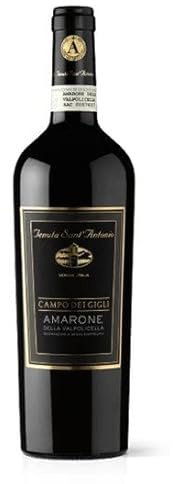 Tenuta Sant'Antonio AMARONE della Valpolicella Campo dei Gigli 2016 0,75 l