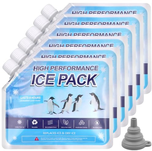 flintronic Paquete de 4/6 Acumulador de frío, Paquete de Hielo, 25x25 cm, 16x19 cm, Hojas Paquete Hielo Reutilizables, Duraderos Congelador para Transporte, para Alimentos Congelados, Picnic, Playa