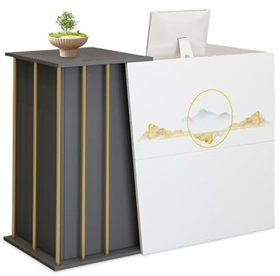 GAOXIAO Liten receptionsdisk, receptionsdisk med displayhylla, diskbord med hyllor, liten kassadisk för kontor, butik, salong A 120 cm