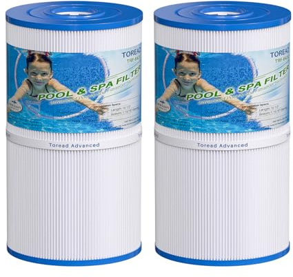 TOREAD Filtros de SPA de Aguas Termales Compatible con Watkins 31489, Unicel C-6430, Pleatco PWK30, Filbur FC-3915, 73178, 73250, 71825, P/N0969601 filtros de bañera de hidromasaje