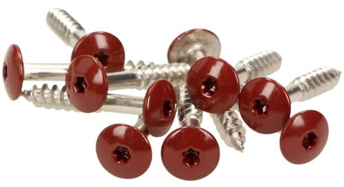100x MEISTERLING® Fassadenschrauben INOX V4A 5,5 x 55 mm – Flachkopf Torx T20 + 1 Bit – Oxidrot