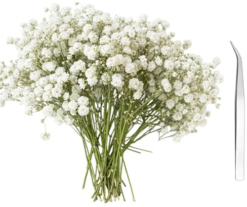 101 Pcs Gypsophila Flowers for Crafts Set, Tweezers and Dried Flowers for Crafts, DIY Resin Art Projects, Wedding Bouquets and Home Decor, Artificial Baby-Breath-Flowers, 6-13 cm