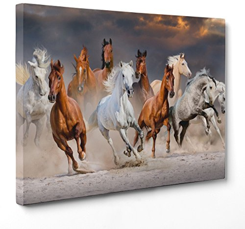Bild auf Leinwand – gerahmt – fertig zum Aufhängen – Pferde Welche – 30 x 40 cm – ohne Rahmen – (Artikelnummer 2886)