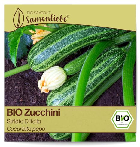 Samenliebe BIO Zucchini Samen alte Sorte Striato D'Italia aromatisch milde italienische Zucchini gestreift 10 Samen samenfestes Gemüse Saatgut für Gewächshaus Freiland und Balkon BIO Gemüsesamen