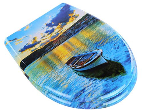 WC-Sitz aus Kunstharz, WC-Sitz mit Soft-Close-Schnellverschluss Große Auswahl an schönen WC-Deckelabdeckungen für Badezimmer,D (C)