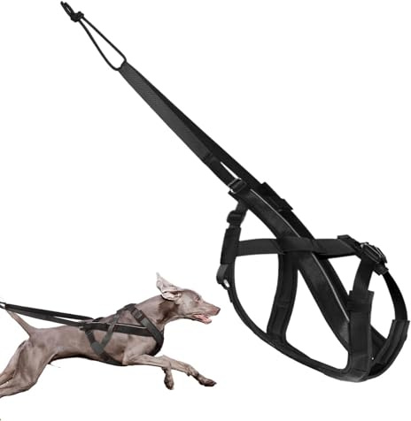 Arnés para Trineo De Perros Arnés Reflectante para Y Canicross | Correa De Tracción Ajustable Y Cómoda Para Entrenamiento Deportivo Caminata Ejercicio