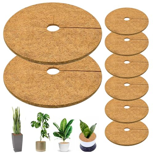 XEERUN 8 Dischi di Cocco da 30 cm, per pacciamatura, in Cocco, Protezione Invernale per Piante, Piante in Cocco, Protezione sostenibile, antigelo, Protezione dal Freddo da umidità e Gelo