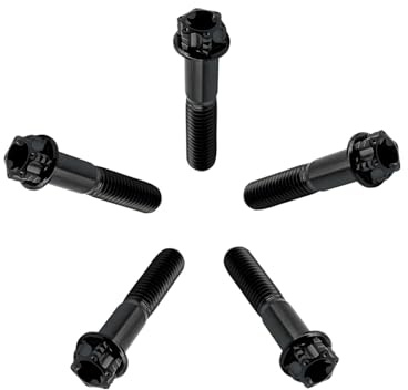 RISON-Titanium Titanschrauben M8x1.25x40mm, 5 Stück Flanschschraube Torx Kopf Flansch Schrauben Sechskantschrauben Gewindeschrauben GR5 Titanbolzen Befestigungen für Motorräder Fahrrad Auto