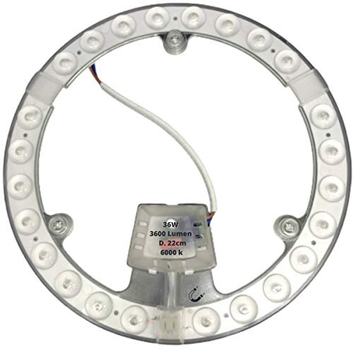 Patabit Circolina Led Ricambio Al Posto Della Lampada Neon per Trasformate La Plafoniera | Lampadina Circolare Luce Fredda Calda E Naturale (36W, Luce Fredda 6000k)