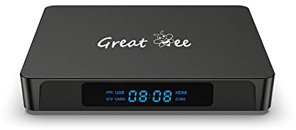 Great Bee One Year Android 10 Arabic 4K TV Box for IPTV with Google YouTube and Chromecast