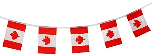 rockible Bannières de Drapeau de Espagnole Drapeaux de Chaîne pour, Canada (20pcs Drapeau), 5,5 Mètres