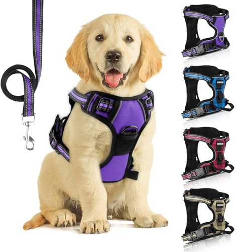 SIBOTER Hundegeschirr mit Hundeleine, Reflektierendes Hundegeschirr Kleine Hunde, mit Einfache Kontrolle Griff und Rückseite perfekt für Spaziergänge im Freien (Lila 2, S)