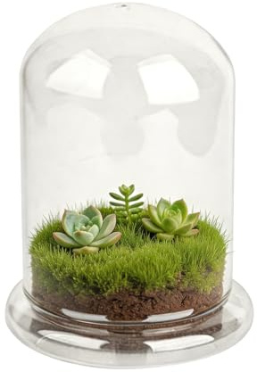 FRUHLING Mini Pflanzen Terrarium Glasglocke, 12x16cm, Ohne Pflanzen | Sukkulenten Topf Glas, Dekorative Klare Glaskuppel mit Luftloch, Flaschengarten DIY, Für Tischdeko Geschenk