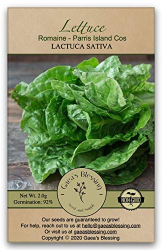 Gaea's Blessing Seeds - Lettuce Seeds (1500 Seeds) Romaine - Parris Island Cos Heirloom - Non-GMO Heirloom Seeds with Easy to Follow Planting Instructions - 92% Germination Rate