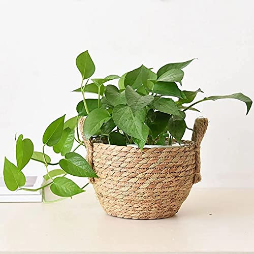 WLICWEI Gewebter Seegras Pflanzkorb, Indoor Outdoor Rattan Blumentöpfe mit Griffen, Boho Natural Seagrass Pflanztöpfe Aufbewahrungskorb Home Decor-A 29x25cm (11x10inch)