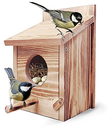 Nistkasten Bausatz Rotkehlchen, Nistkasten für Meise, Vogelhaus Wetterfest aus Holz, Vogelhäuschen Zum Aufhängen Blaumeise Wellensittich aus Massiv Holz mit 60mm Einflugloch Vogelfutterhaus Brutkasten