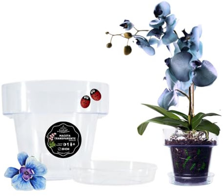 LiveLaif - Maceta Orquídea Transparente + Plato | Macetero Plástico para Orquídeas | Elegir Tamaño y Unidades (1, Ø12cm)
