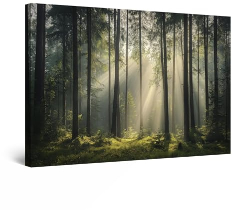 Startonight Wandkunst auf Leinwand – Bäume, Wald, Lichtstrahlen – Kunstwerk, Fertig zum Aufhängen, für Wohnzimmer, Großes Bild, Wanddekoration, Druck, Wohnzimmer Groß Wand Bild 80 x 120 cm