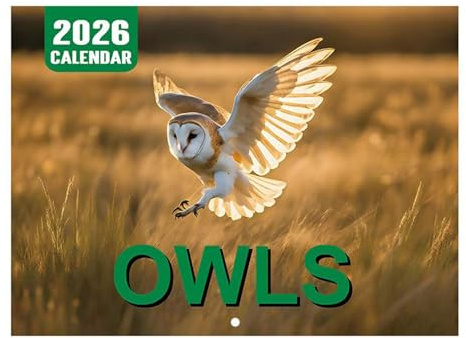 Eulen-Wandkalender, 12-monatiger Kalender mit Eulen-Motiven, große linierte Blöcke, Januar - Dezember 2026, Planer für Fitnessstudio, Zuhause, Schule, Arbeit