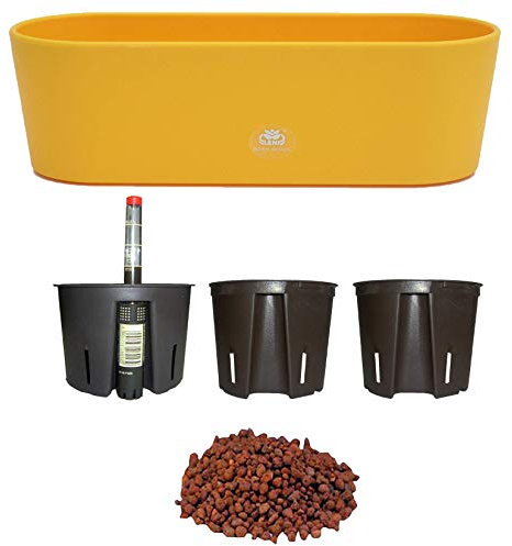 Set6 6 teilig Kunststoff Flori Pflanzschale gelb für Hydrokultur L 26.5 cm B 10.0 cm H 08.0 cm