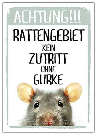 Achtung Ratte Kein Zutritt Gurke Schild lustig Spruch Türschild Warnschild Fun Metallschild