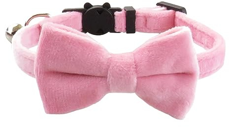 Katzenhalsband mit Schleife, bequemes, verstellbares Katzenhalsband mit Schleife, Haustierzubehör für Outdoor-Aktivitäten für Fotografie, Hochzeit, Zuhause, Spazierengehen, Reisen