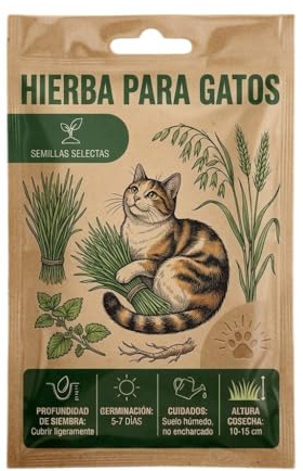 Semillas de Hierba para Gato para Plantar en Interior y Cultivar para Mascotas | DECOALIVE