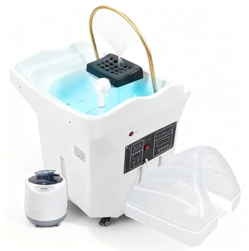 Equipement de Spa pour la TêTe, Bac Shampoing Circulation, Salon Coiffure Bol Shampoing avec RéServoir d'eau de 60 L, Table Massage Shampoing, pour Salons et Spas
