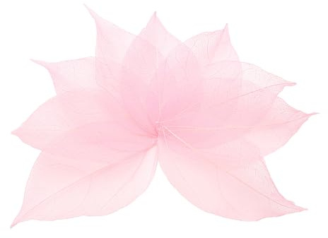 QUARKZMAN 100 Pcs Hojas Esqueleto Rosa Claro 2- 3 Hojas Secas Prensa | De árbol De Caucho, Para álbumes De Fotos Manualidades Tarjetas De Boda Arreglos Decoración Regalos