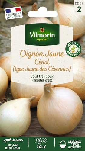 Oignon Cénol (type Jaune des Cévennes)