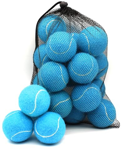 Swingers 20 Pack Training Tennis Balls for Beginner, High Elasticity Exercise Balls for Pet Dog, with Mesh Carry Bag (Light Blue)